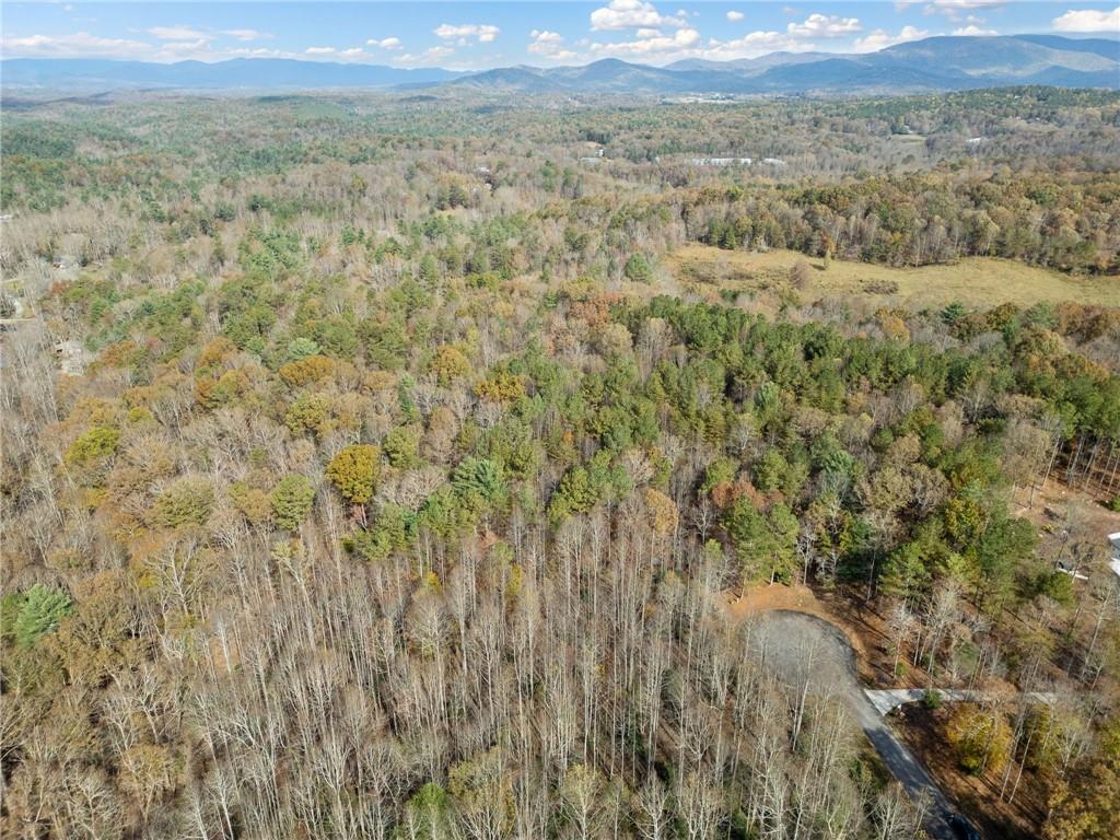 7 Highpoint Ridge Road Ellijay, GA 30536 - Photo 15 of 25 Gallery Image 15