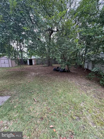 a view of a yard with a tree