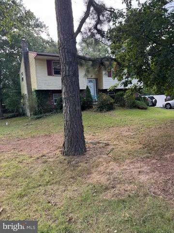 a tree in front of a white house