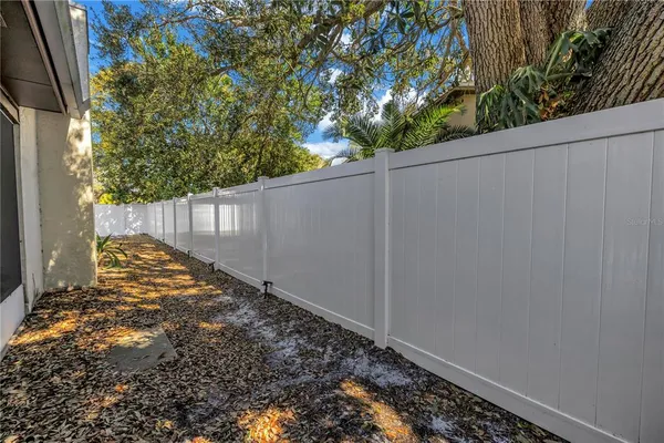 a view of a backyard with a large tree