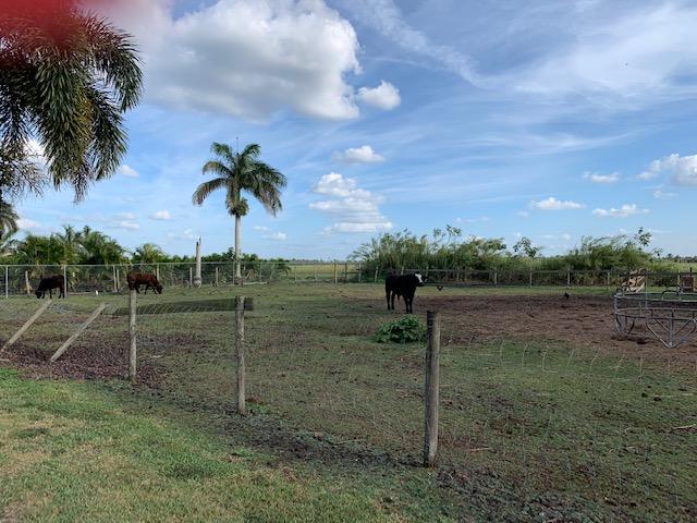 2310 Bacom Point Road Pahokee, FL 33476 - Photo 23 of 24 E1606FD3-A080-492E-B41F-F4673D853A0B