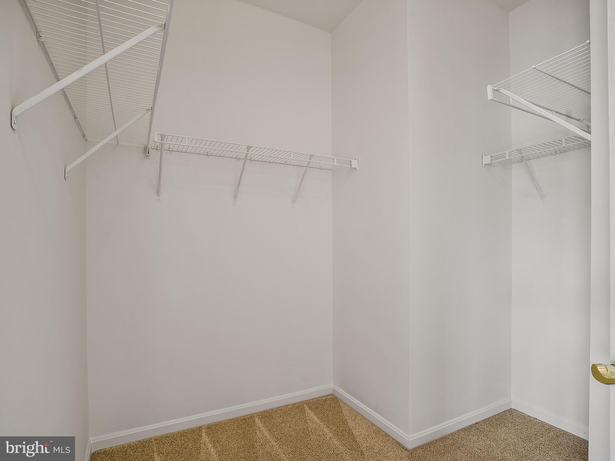 24712 Clock Tower Square Aldie, VA 20105 - Photo 18 of 30 Large Master Walk-in Closet