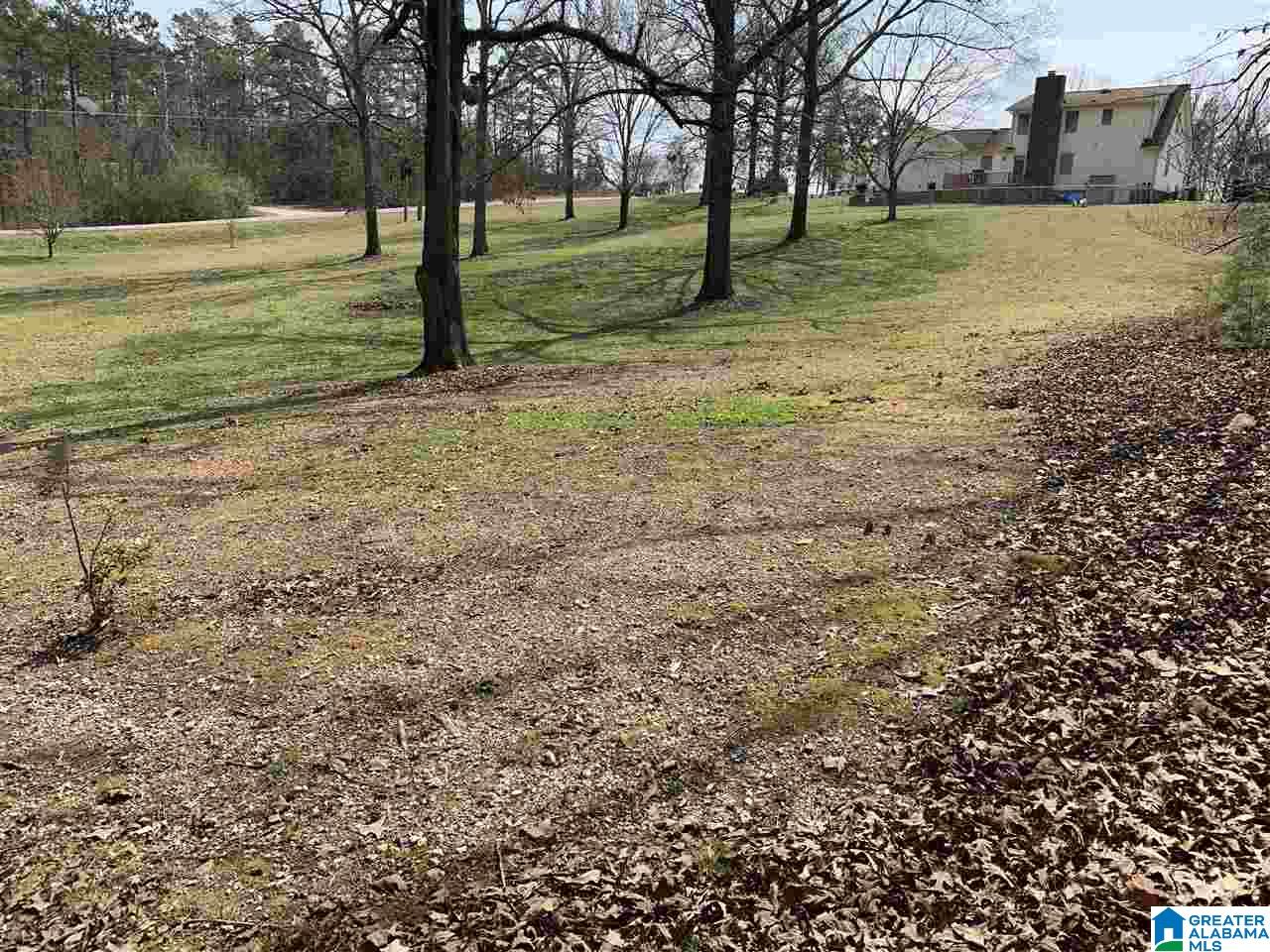 720 Big Rock Road Pell City, AL 35128 - Photo 8 of 47