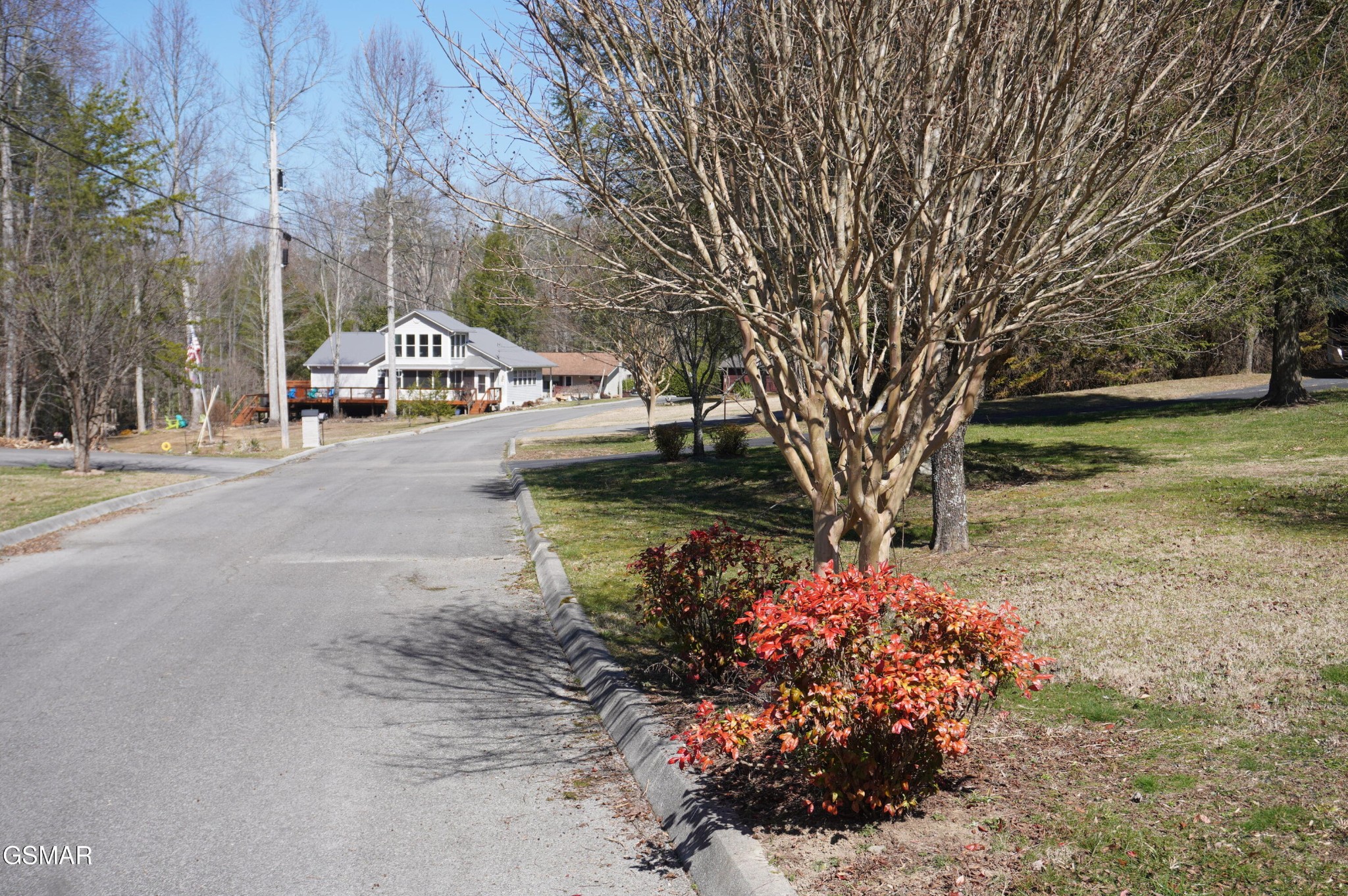 19 Rhododendron Trail Cosby, TN 37722 - Photo 10 of 18 Gallery Image 10