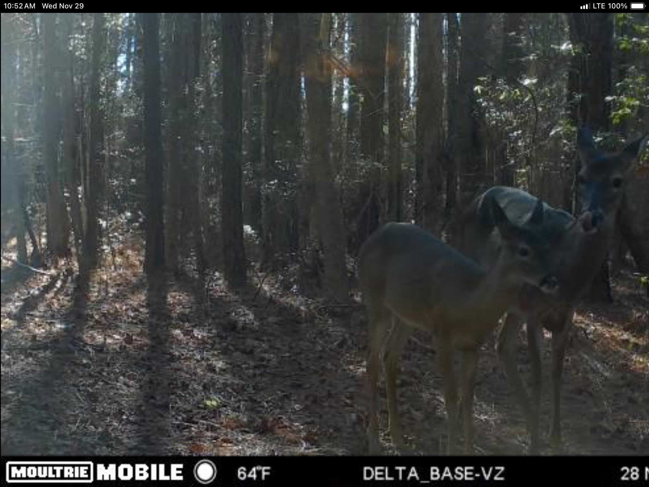 995 Judge Smith Road Andalusia, AL 36421 - Photo 3 of 12 Gallery Image 3