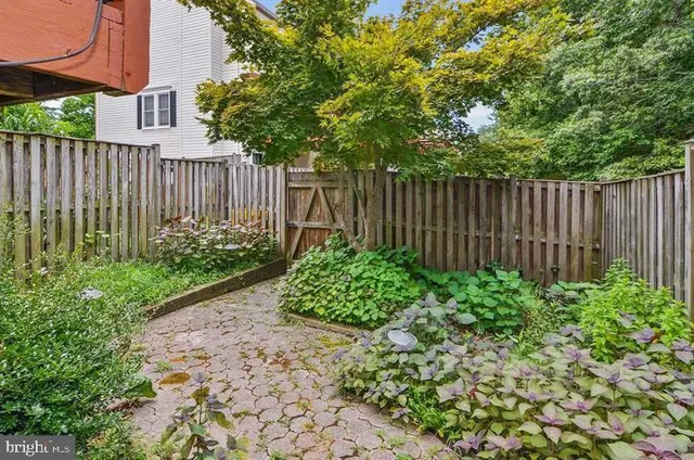a view of a park with large trees