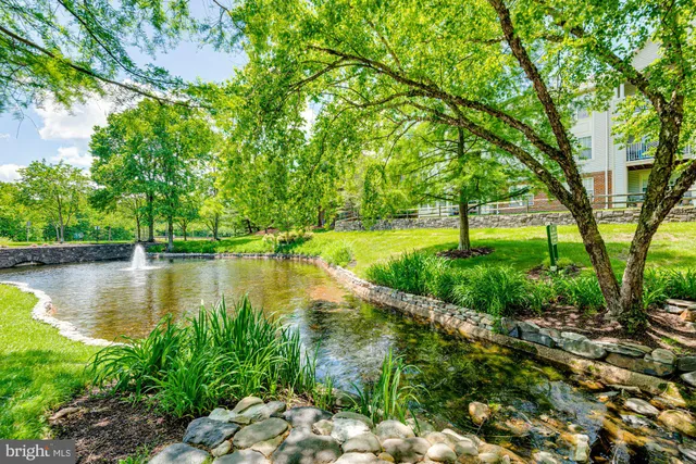a view of outdoor space yard and patio