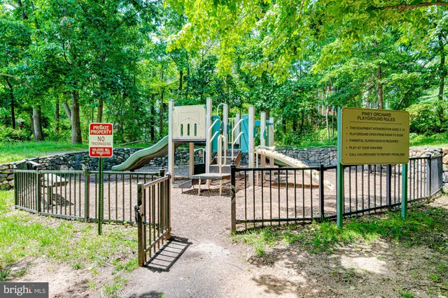 a view of a park with a tree