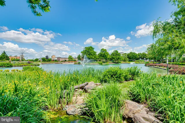 a view of a house with backyard and a patio