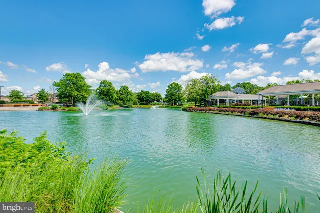a view of a garden with a fountain
