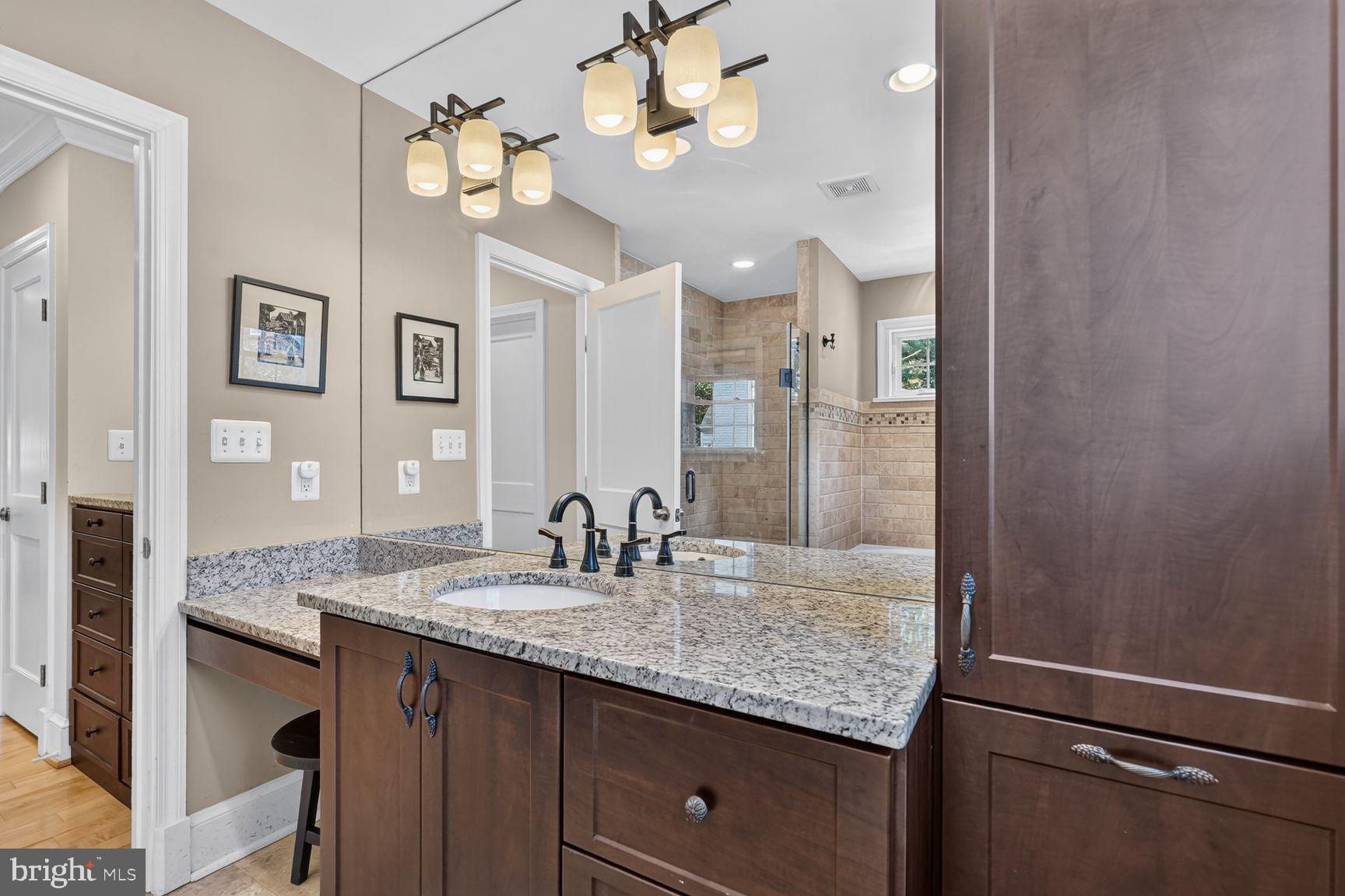 10115 Gates Avenue Silver Spring, MD 20902 - Photo 24 of 38 Spa-like primary suite bathroom
