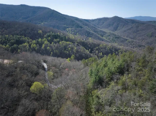 an aerial view of mountain and trees