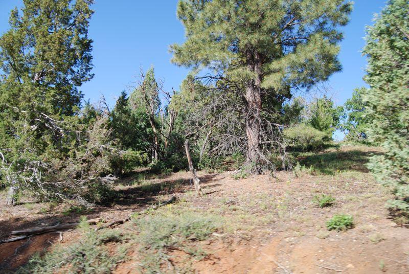 1430 West Elk Ridge Drive Alton, UT 84710 - Photo 1 of 1 68893-Main