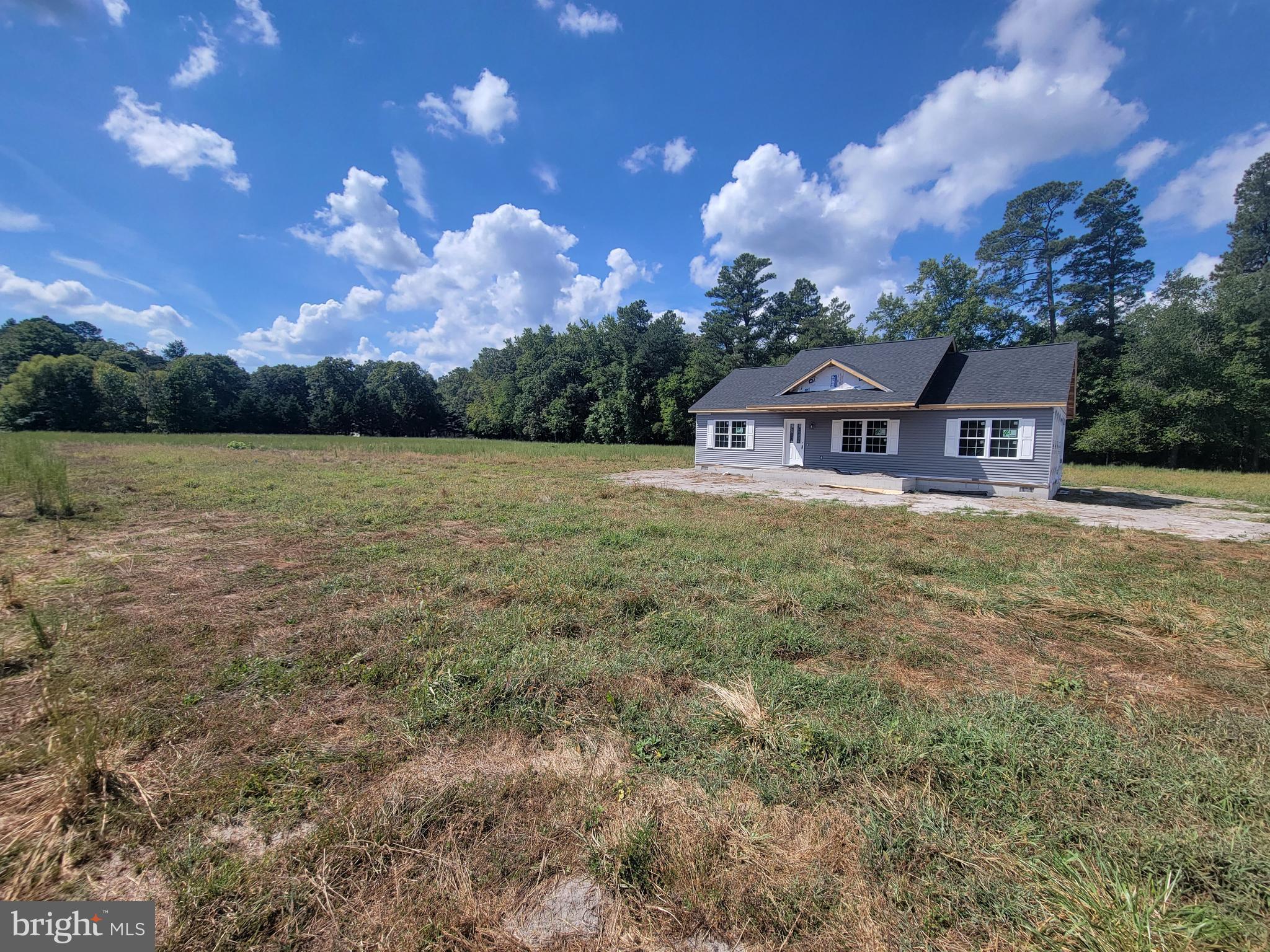 13784 Spicer Road Ellendale, DE 19941 - Photo 2 of 14 Gallery Image 2