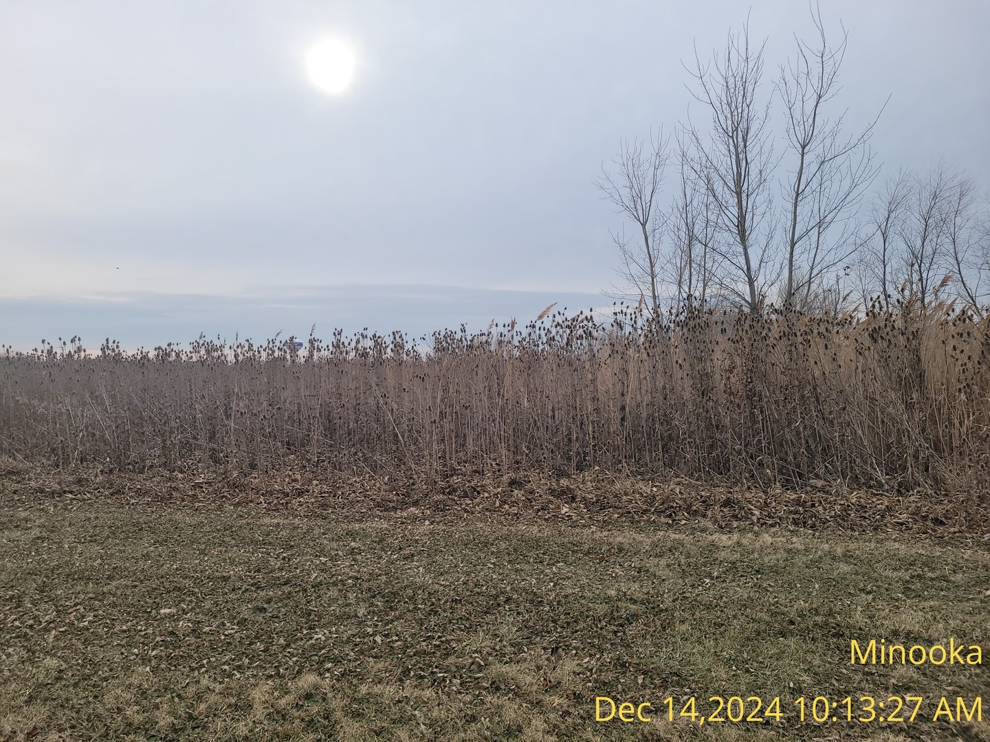 0 East Brannick Road Minooka, IL 60447 - Photo 3 of 9