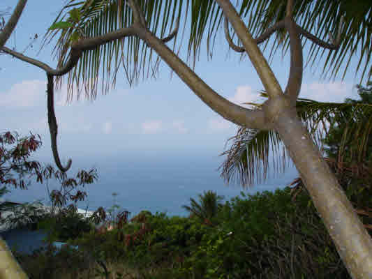 57 Kaohe Road Captain Cook, HI 96704 - Photo 1 of 3 Gallery Image 1