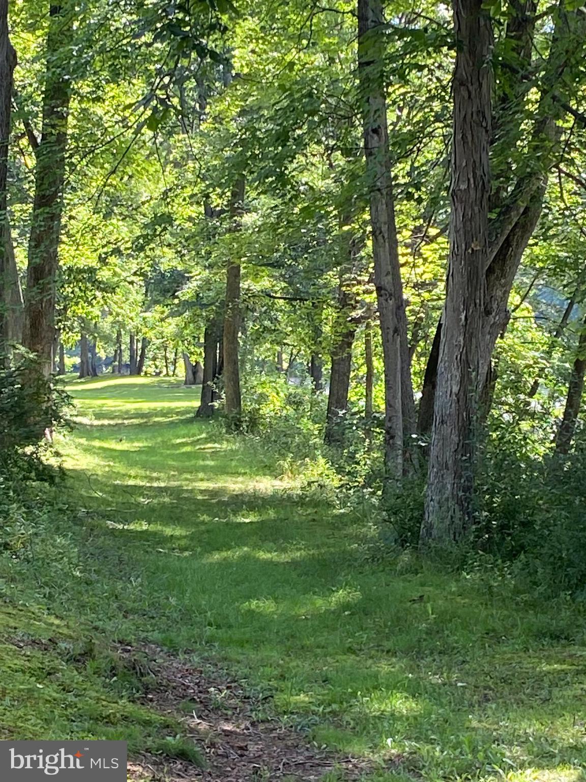 100 Bubbling Spring Road Yellow Spring, WV 26865 - Photo 17 of 26 a big yard with lots of green space and trees