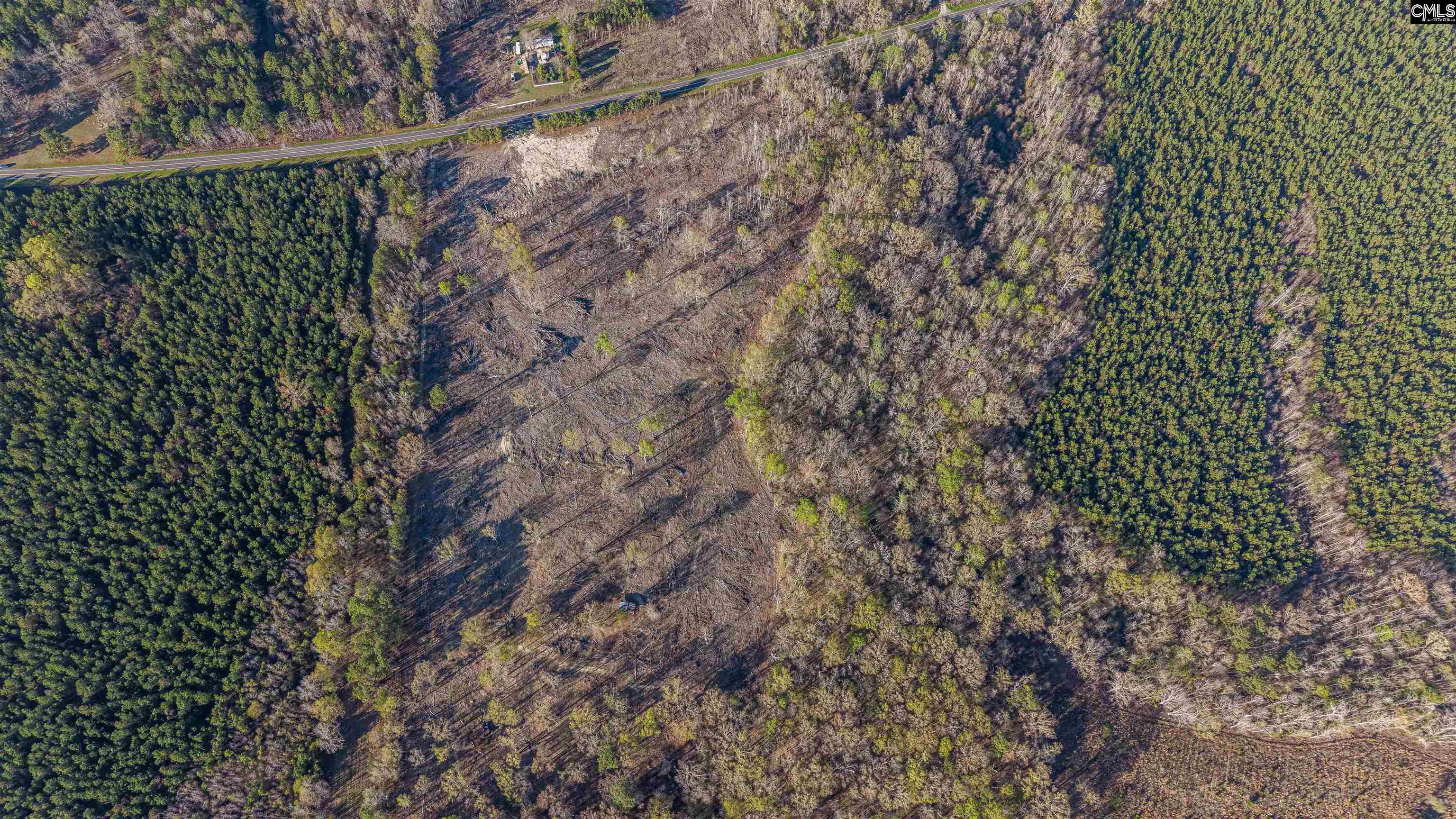 1856 River Road Greeleyville, SC 29056 - Photo 21 of 31