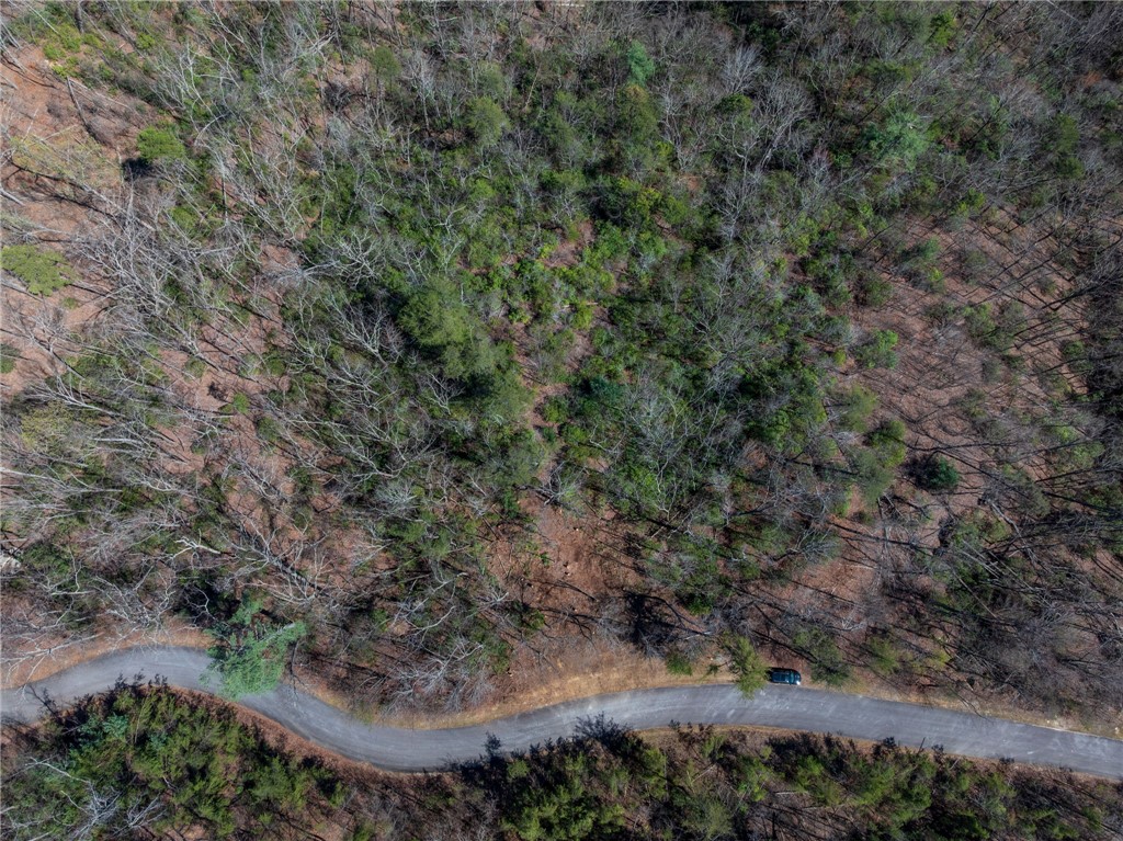 N30-n31 Jocassee Ridge Way Salem, SC 29676 - Photo 7 of 16
