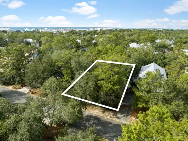a view of a forest from a window