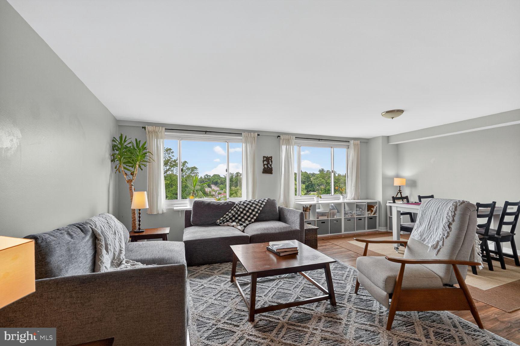 1900 Lyttonsville Road, Unit 1217 Silver Spring, MD 20910 - Photo 6 of 21 Living Room