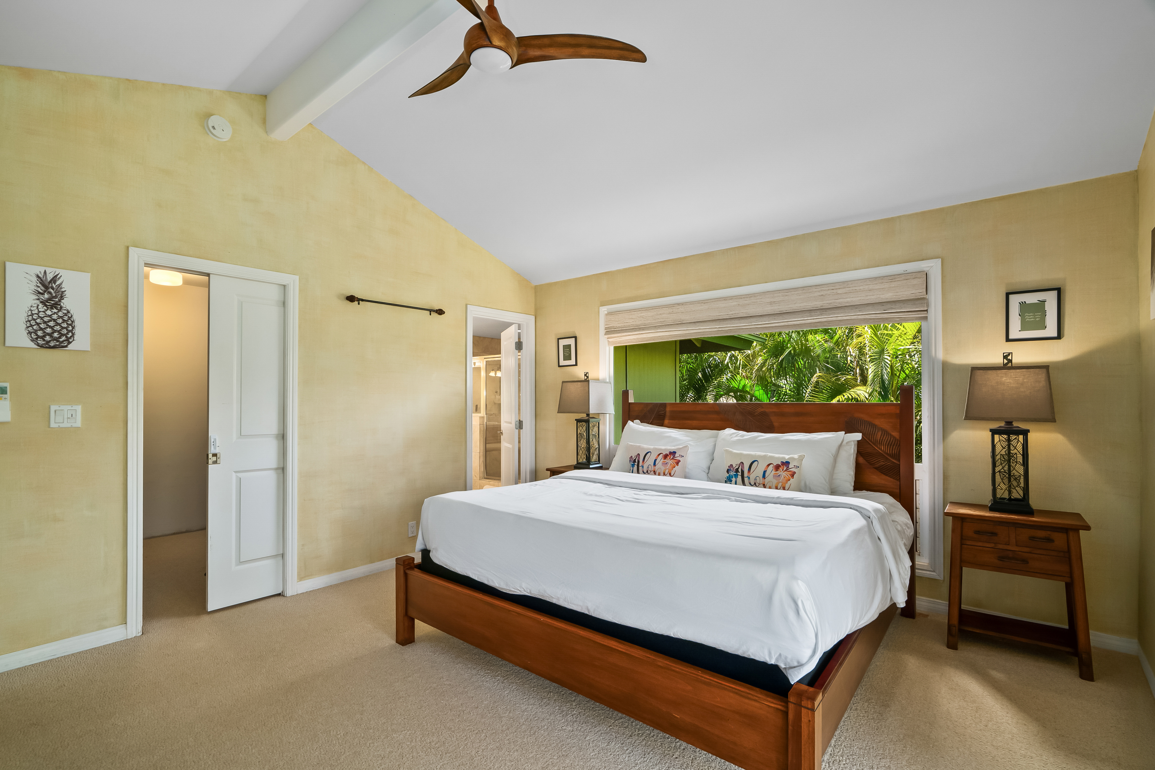 3675 Albert Road Princeville, HI 96722 - Photo 18 of 30