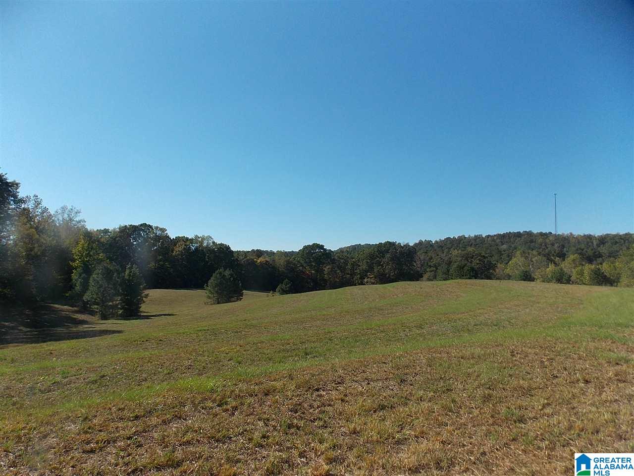 680 Brooks Lane Oneonta, AL 35121 - Photo 1 of 27