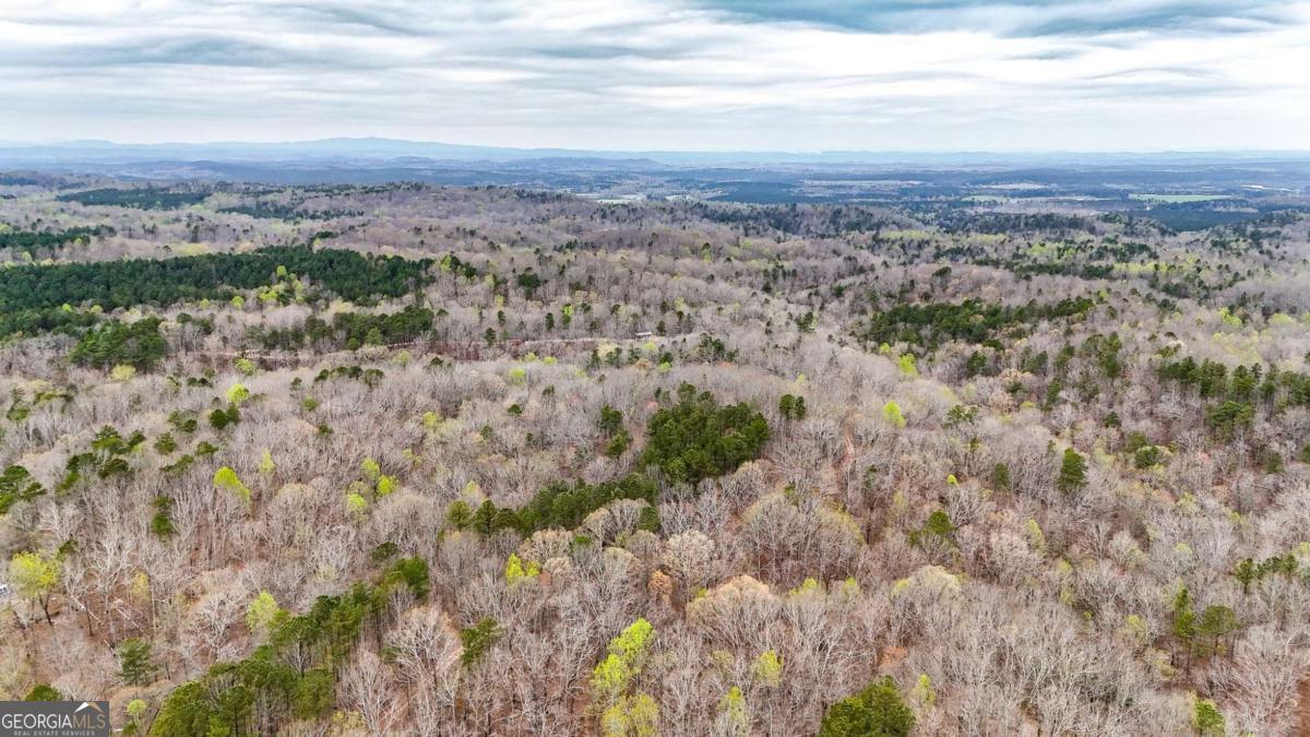 0 Felton Rockmart Road Buchanan, GA 30113 - Photo 43 of 47