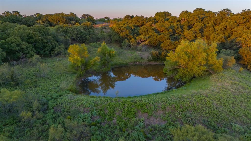 Tbd Bloodworth Road Bowie, TX 76230 - Photo 5 of 25