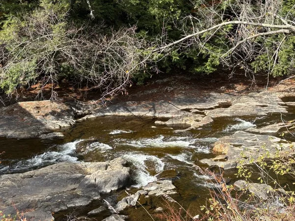 $595,000 | 625 Gould Hill, Johnson, VT 05656