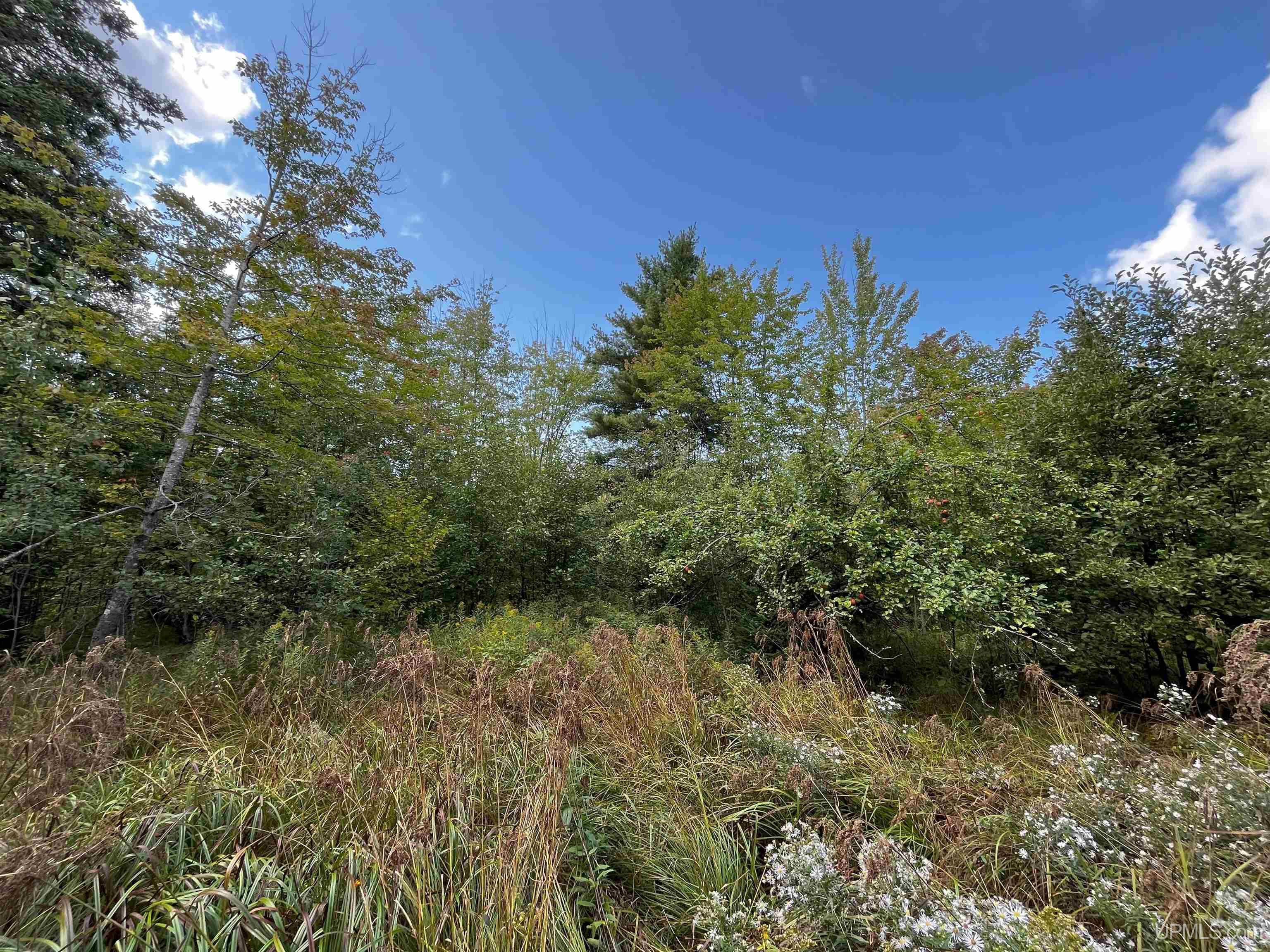 42587 Old Rink Road Toivola, MI 49965 - Photo 13 of 16 Gallery Image 13