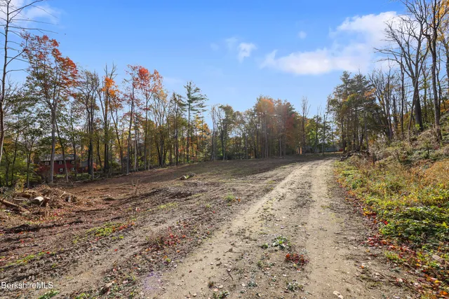 a view of a forest with trees