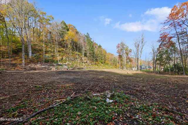 a view of dirt yard with a large tree