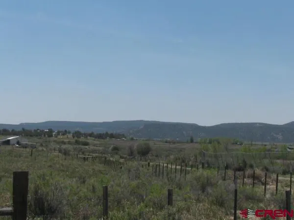 a view of a lush green field