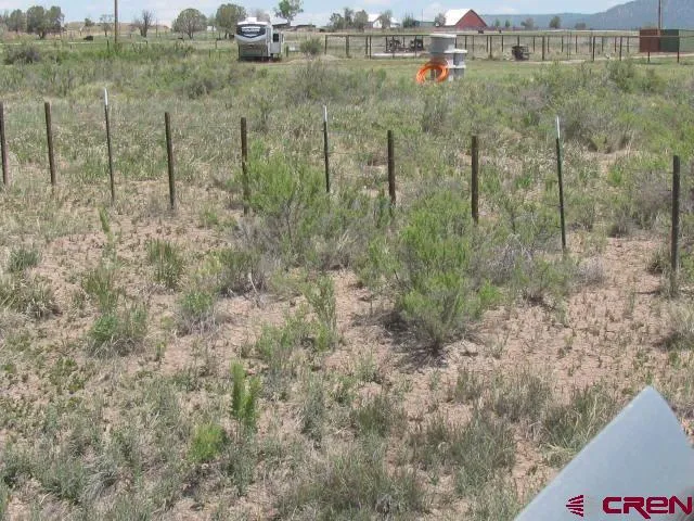 a view of a forest with trees and houses