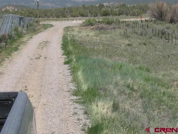 a view of a lake from a yard