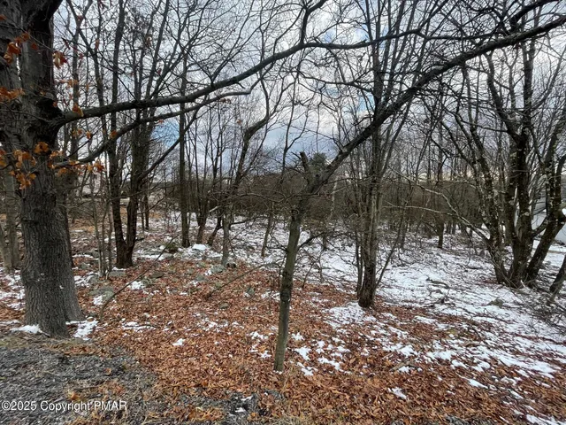 a view of outdoor space