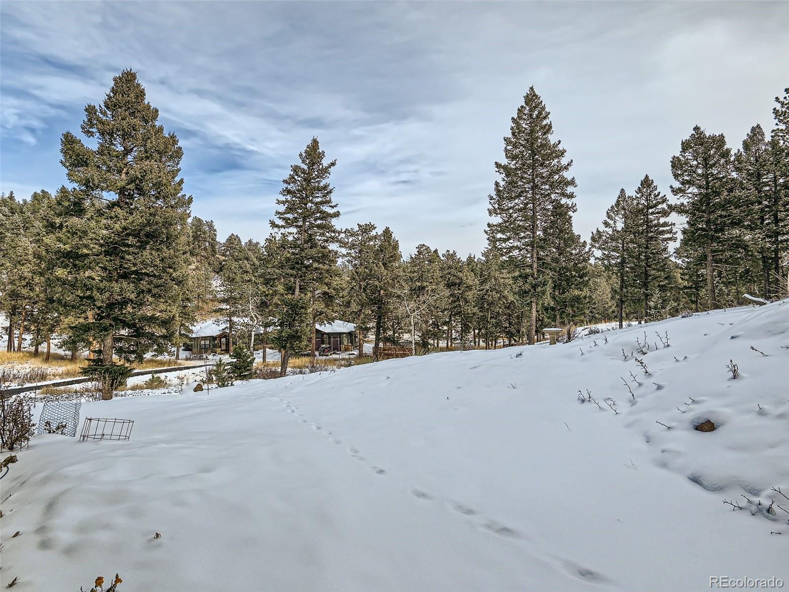 251 Diamond Drive Pine, CO 80470 - Photo 33 of 34