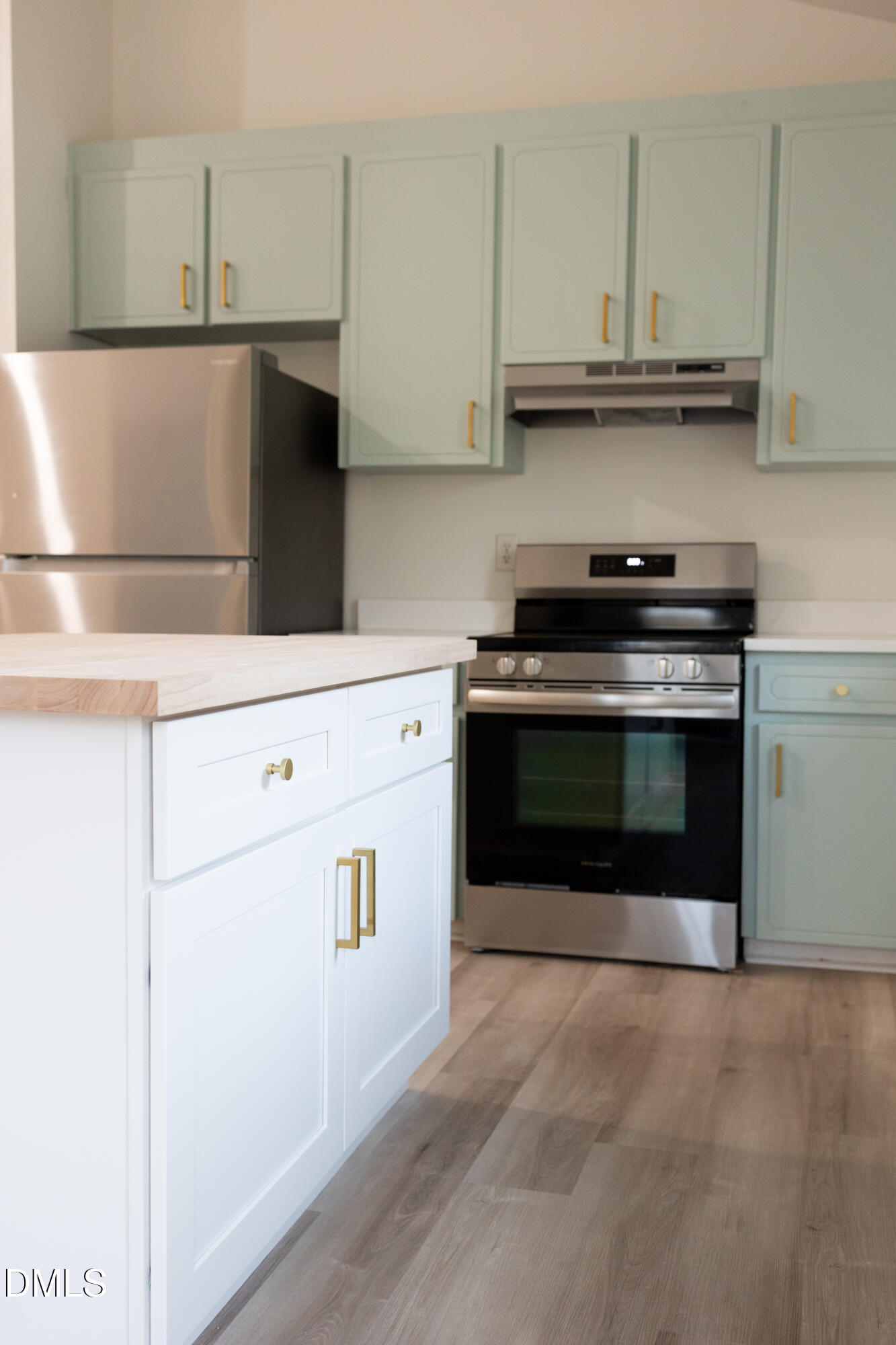 308 Kilgo Street Clayton, NC 27520 - Photo 6 of 22 Cabinets and Range