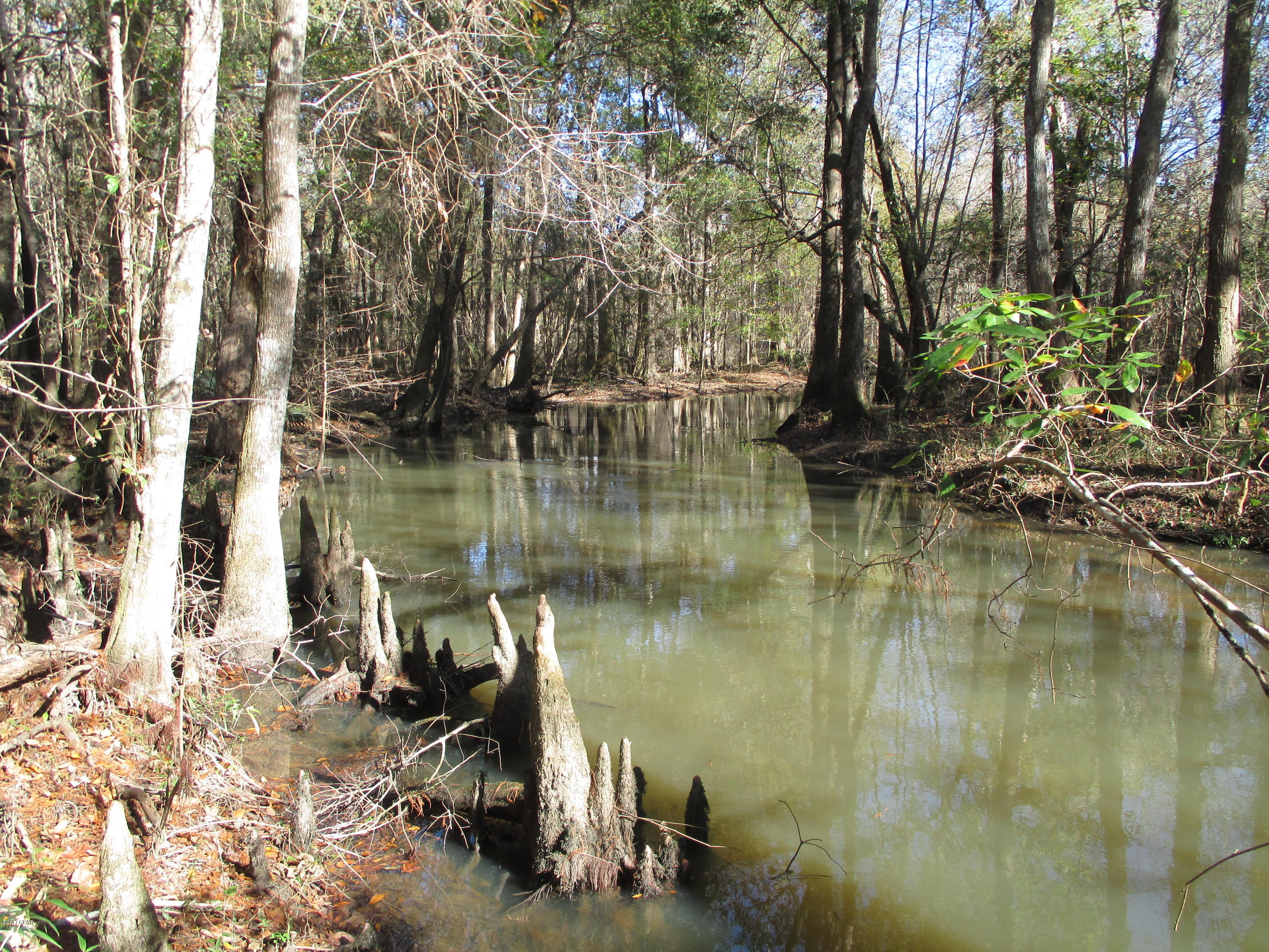 0 Benchoff Road Bonifay, FL 32425 - Photo 18 of 32
