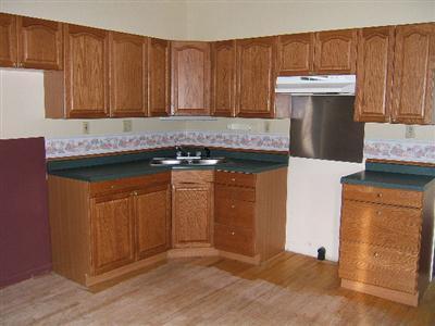 418 Reed Street Nashville, MI 49073 - Photo 2 of 11 Additional Photo