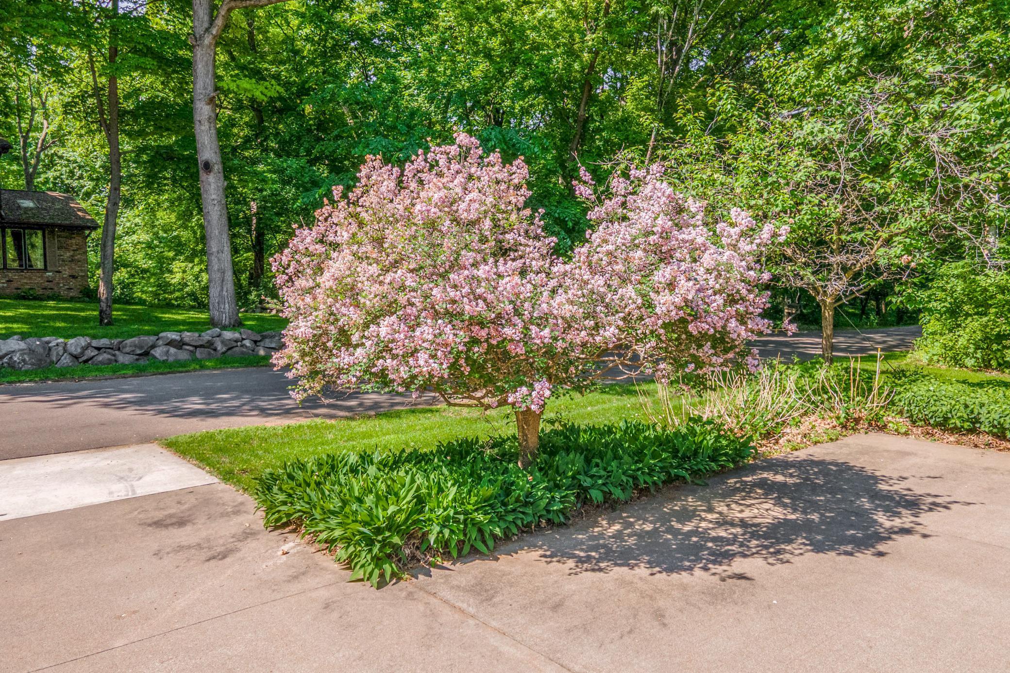 11738 Gentilly Road Maple Grove, MN 55369 - Photo 17 of 19