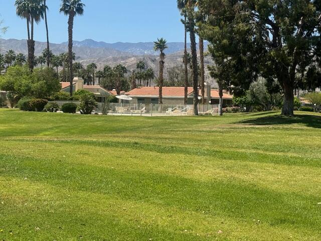 39725 Burton Drive Rancho Mirage, CA 92270 - Photo 21 of 22 rear lawn