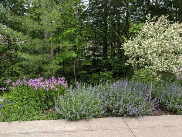 $1,479,000 | 4209 North Oak Pointe Court Northeast, Grand Rapids, MI 49525