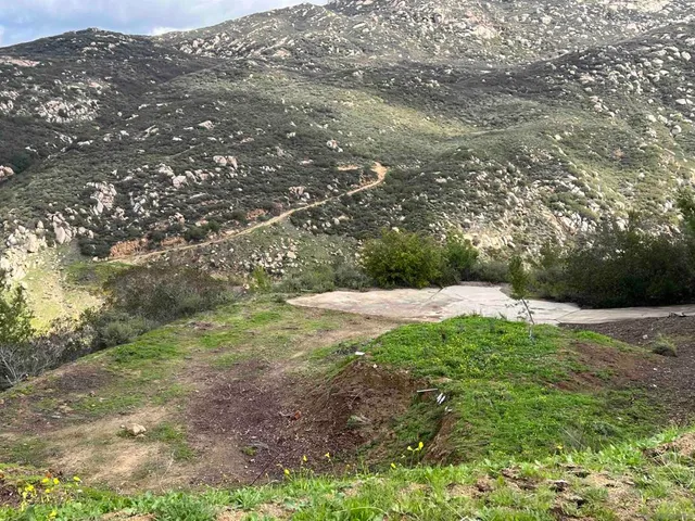 a view of a yard with an outdoor space