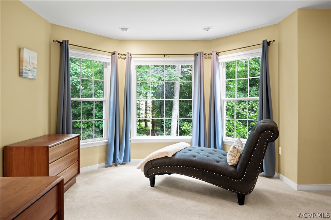 5303 Meadow Chase Road Midlothian, VA 23112 - Photo 31 of 49 a bedroom with a bed and glass window