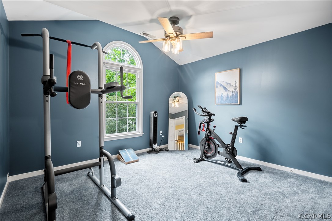 5303 Meadow Chase Road Midlothian, VA 23112 - Photo 38 of 49 a view of a room with gym equipment