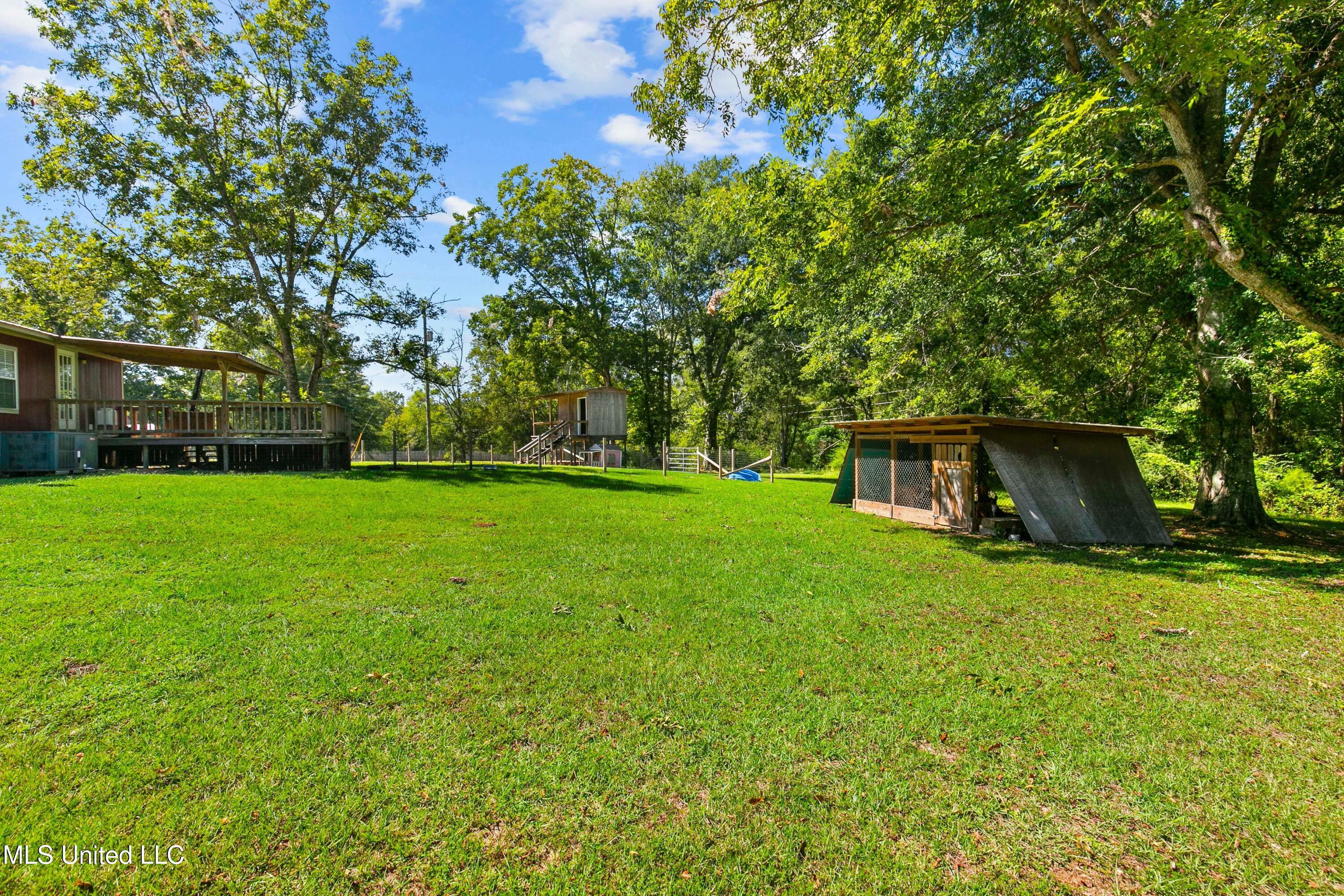 8079 Harmony Road Crystal Springs, MS 39059 - Photo 16 of 20 Back Yard