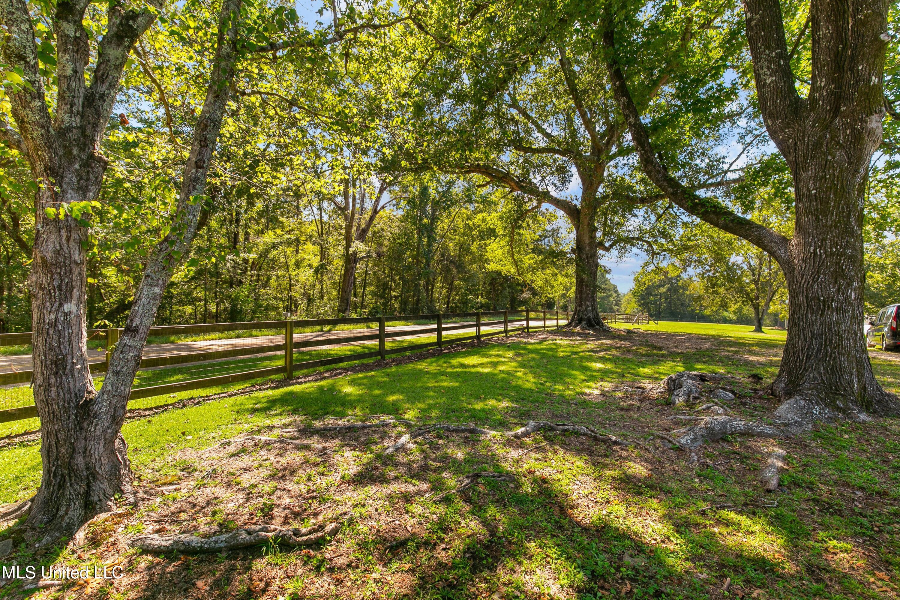 8079 Harmony Road Crystal Springs, MS 39059 - Photo 17 of 20 Front Yard