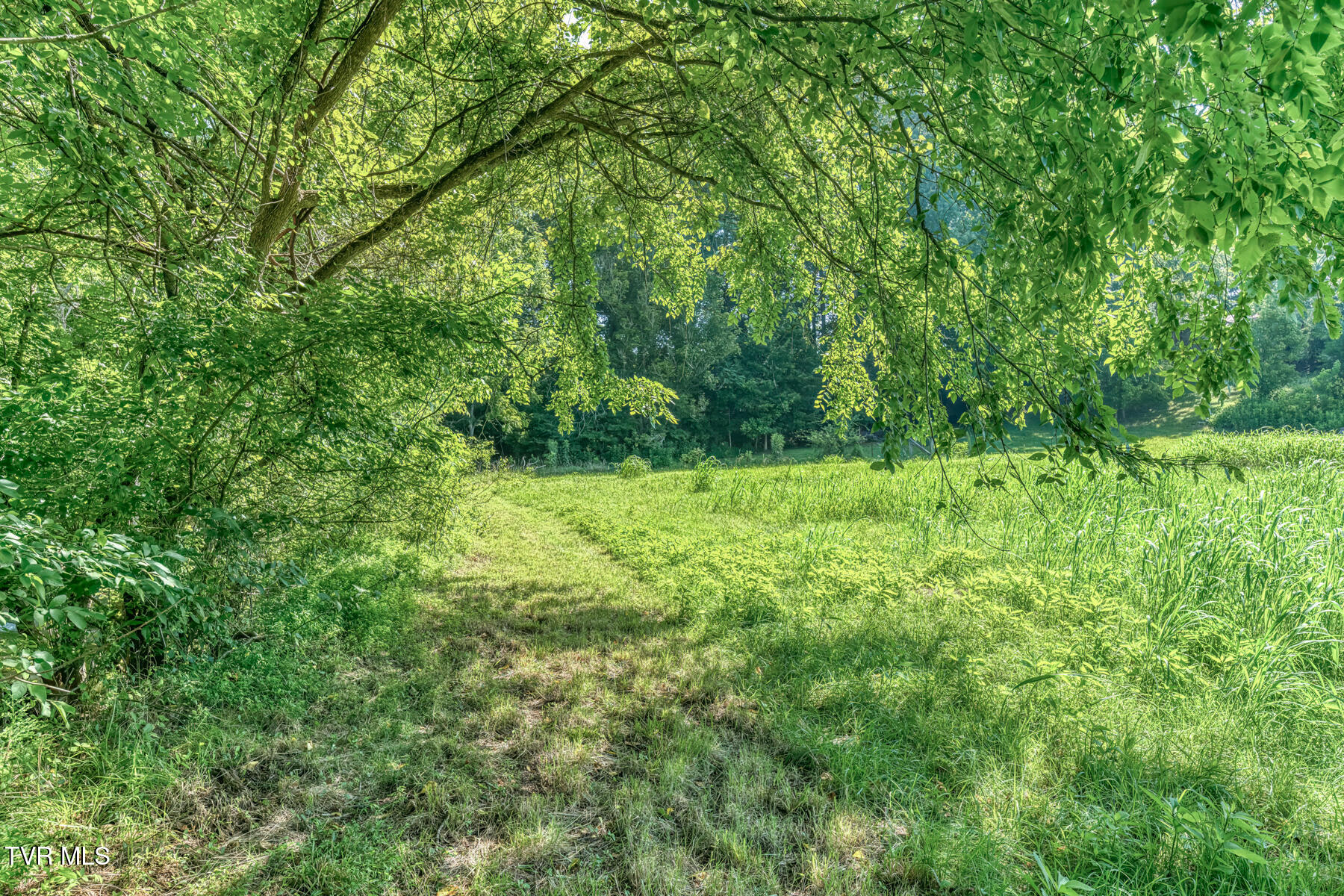 419 Kitzmiller Road Gray, TN 37615 - Photo 79 of 94 419 Kitzmiller Rd-96